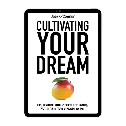 Joey O'Connor's Doorbuster Ebook Bundle - 9 Ebooks