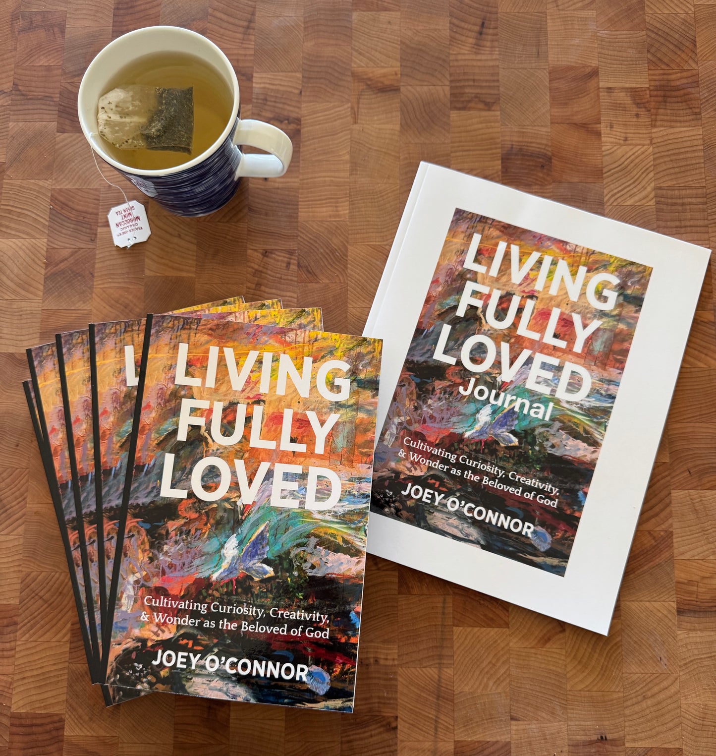 Living Fully Loved by Joey O'Connor | DEVOTIONAL JOURNAL