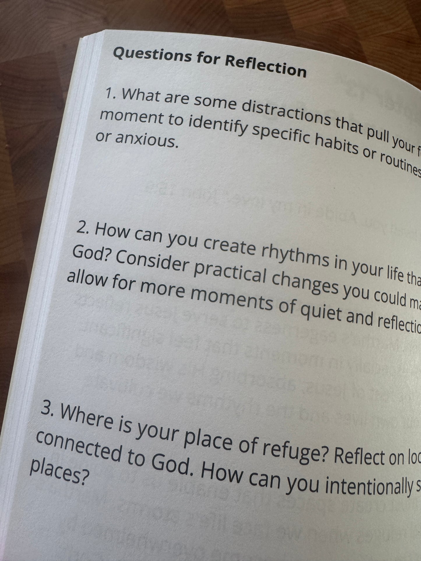 Living Fully Loved by Joey O'Connor | DEVOTIONAL JOURNAL