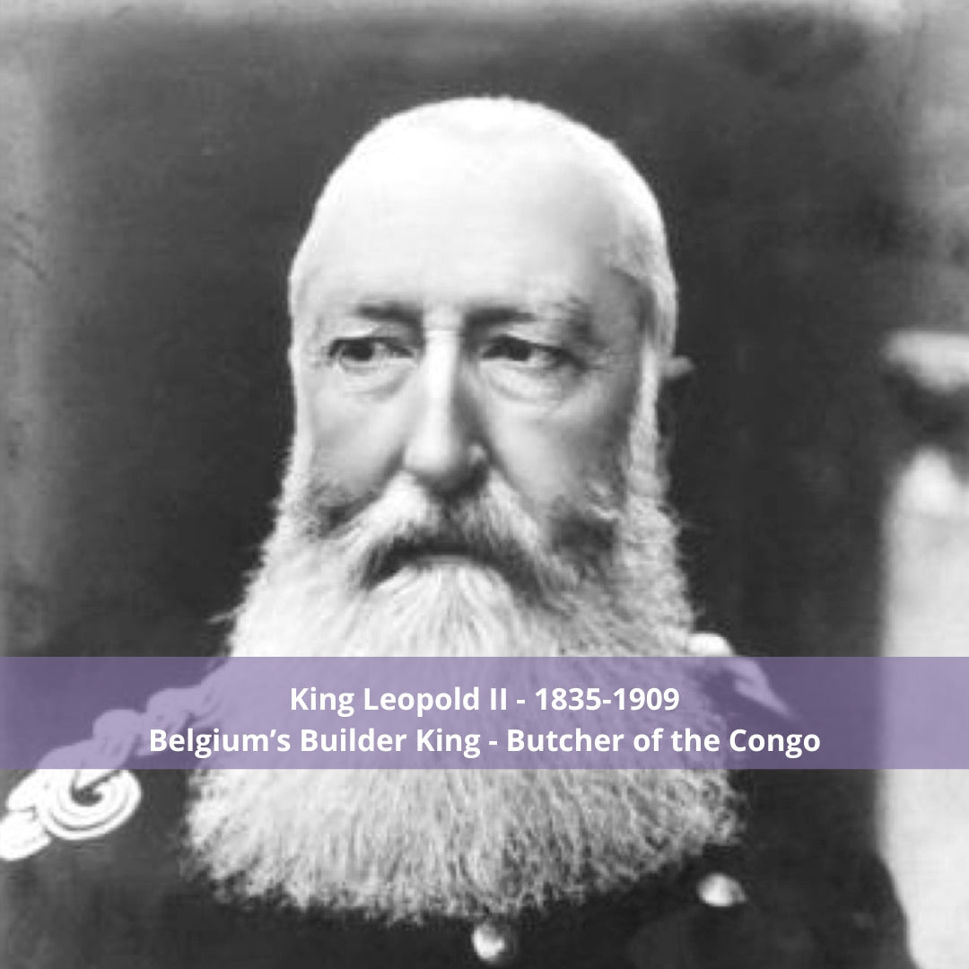 Among Kings: The Amazing Adventures of the Congo's African American Livingstone and the Courageous People who Toppled King Leopold II (Audiobook)